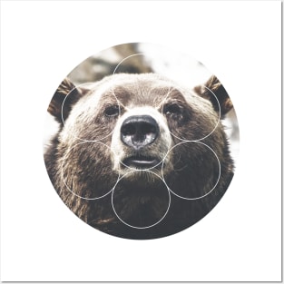 Big Bear Buddy Geometric Photography Posters and Art